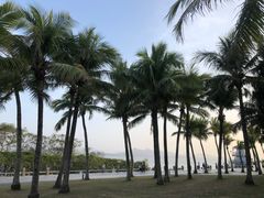 -深圳湾公园(南山区)