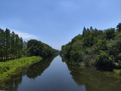 -昆山城市生态森林公园