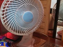 -鱼来顺纸上烤鱼