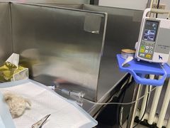 -天时宠物医院24小时疑难病例会诊中心(顾乡大街总院)