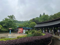 -三江森林温泉度假区