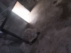 -祥源·阜阳生态乐园