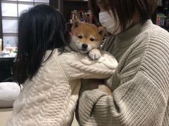 -逗柴咖啡屋·狗咖猫咖宠物桌游