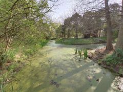 -溱湖国家湿地公园