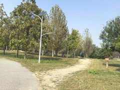 -乐行自行车运动乐园