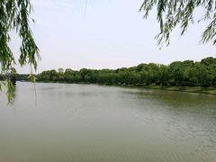 -上海鲜花港