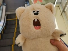 -快乐街区(重庆龙湖时代天街店)
