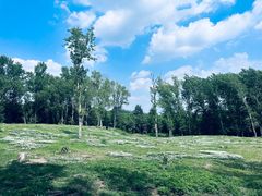 -长春市南湖公园