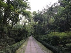 -法云安缦酒店