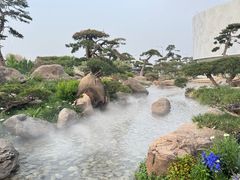 -罗红摄影艺术馆