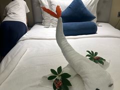-美的鹭湖森林度假区