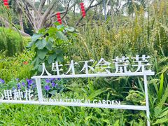 -云溪植物园