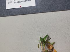 -王知之·自助·自习室(杭州蒋村店)