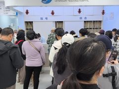-中国农业大学动物医院