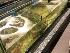 -Isla Sugbu Seafood City