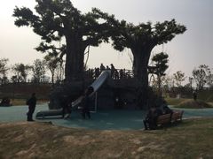 -九龙湖公园
