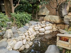 -张家港金凤凰度假村温泉