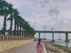 -宝安西湾红树林湿地公园