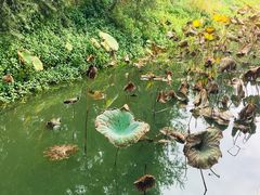 -福州大学(旗山校区)