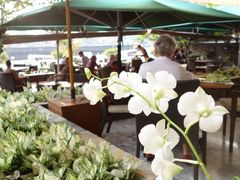 湄公河邊下午茶-曼谷文华中心点大酒店