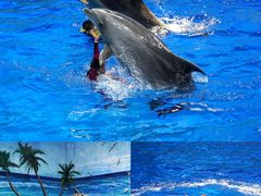 -多彩贵州城极地海洋世界