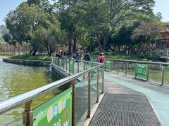 -顺峰山公园