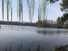 -苏堤停车场