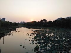 -新江湾城公园