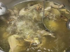 药膳乳鸽-百利鸽王(紫薇路店)