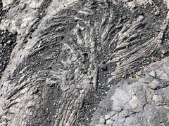 -夏威夷火山国家公园
