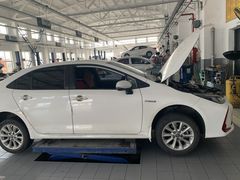 -烟台东联一汽丰田4S店(福山区店)