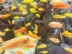 -太平洋海底世界