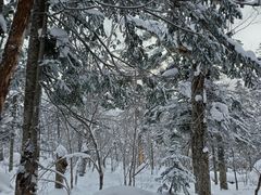 -雪谷