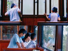 -合肥滨湖国家森林公园