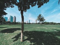 -万绿园