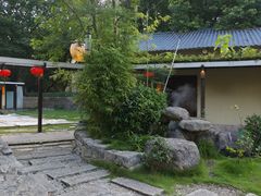 -湘力力小院·鱼汤泡饭(枫林路店)