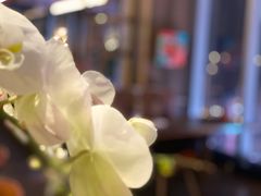 -恰餐厅CHAR Grill(北京三里屯洲际店)