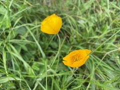 -白草畔自然风景区