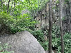 -大岭沟猕猴桃谷风景区