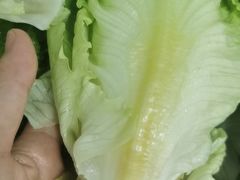 -串小白烧烤(金沙洲店)