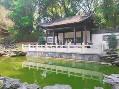 -深圳国际园林花卉博览园