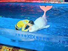 -大连圣亚海洋世界