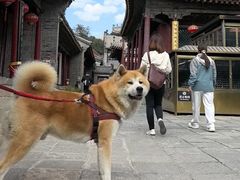 -五台山风景名胜区-罗睺寺