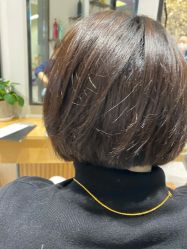 -京世沙龙