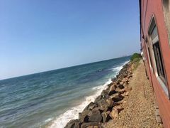 -Ministry of Crab(科伦坡店)