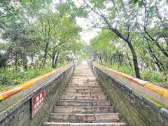 -妙峰山风景名胜区