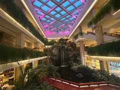 -广州白天鹅宾馆