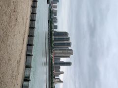 -五缘湾湿地公园