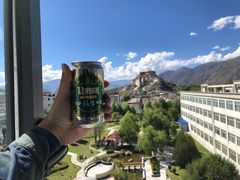 -平措康桑·和牛自助观景餐厅(布达拉宫店)