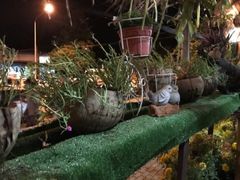 -Jungle Kitchen
